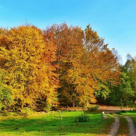 Buczylas Siedlisko Tuchomie