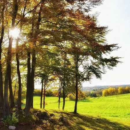 Buczylas Siedlisko Daire *