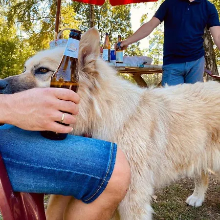 Апартаменты Buczylas Siedlisko *