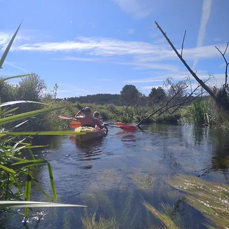 Daire Buczylas Siedlisko