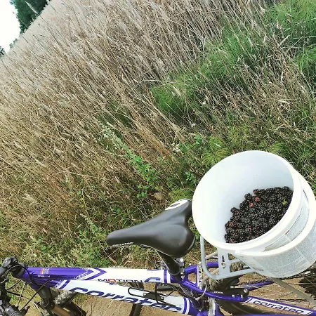 Appartement Buczylas Siedlisko Tuchomie