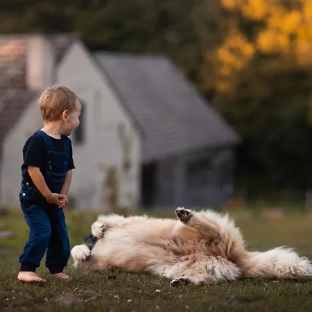 Buczylas Siedlisko * Tuchomie