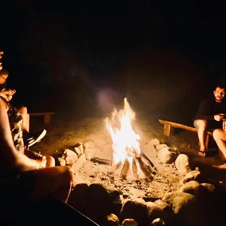 Buczylas Siedlisko *