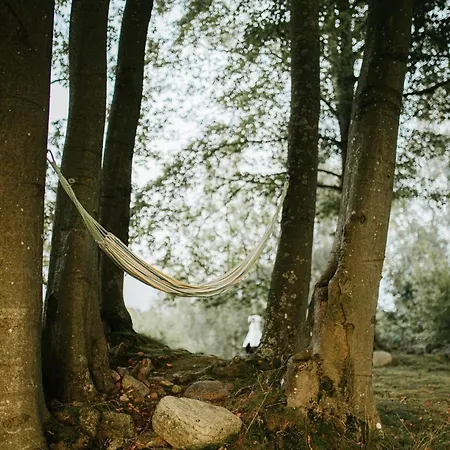 Daire Buczylas Siedlisko