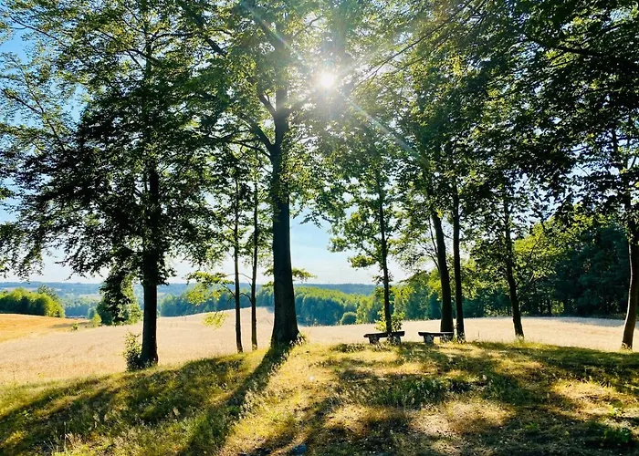 Buczylas Siedlisko Tuchomie