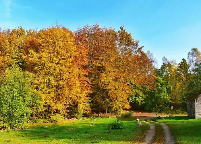 Buczylas Siedlisko Tuchomie