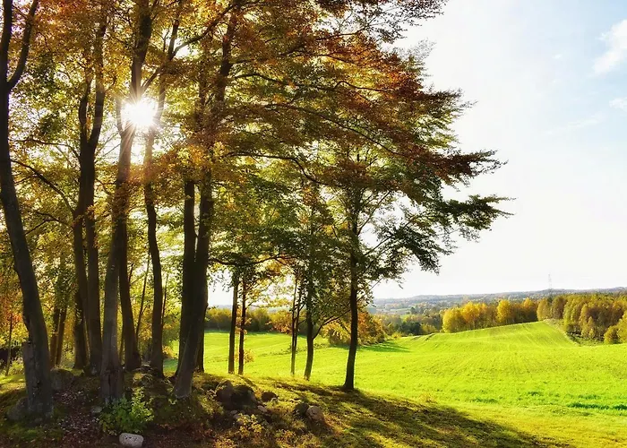 Buczylas Siedlisko Lejlighed *