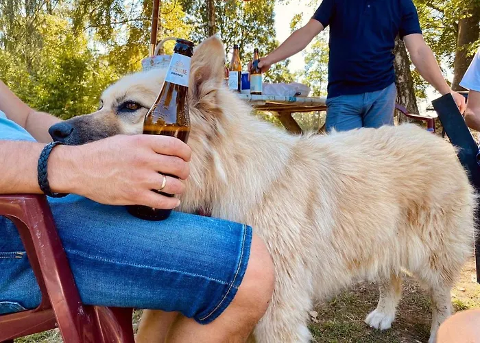 Apartmán Buczylas Siedlisko *