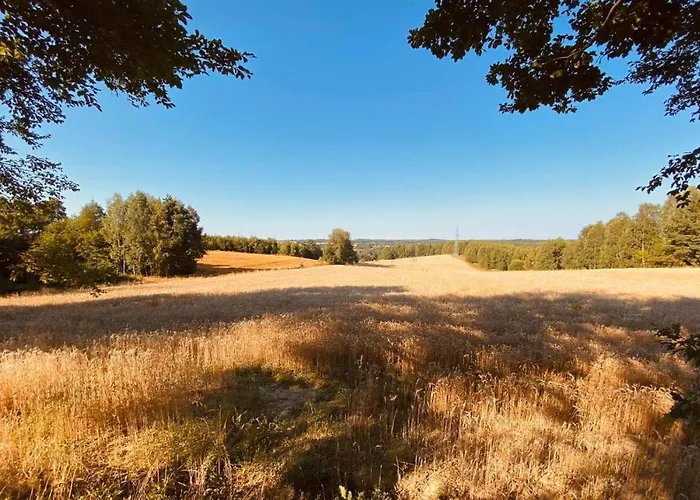 Buczylas Siedlisko 公寓 *