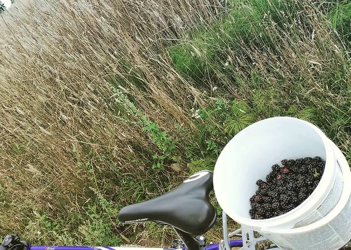 Lejlighed Buczylas Siedlisko Tuchomie