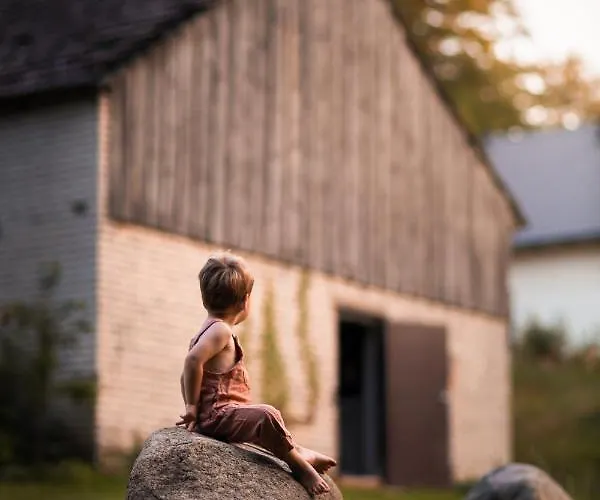 Buczylas Siedlisko Lejlighed *