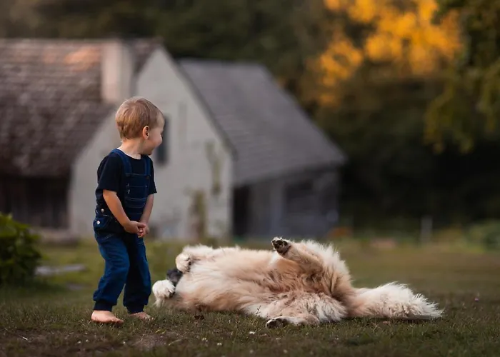 Buczylas Siedlisko * Tuchomie