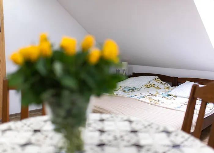 Buczylas Siedlisko 公寓