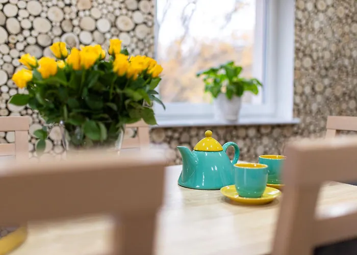 Buczylas Siedlisko 公寓 Tuchomie