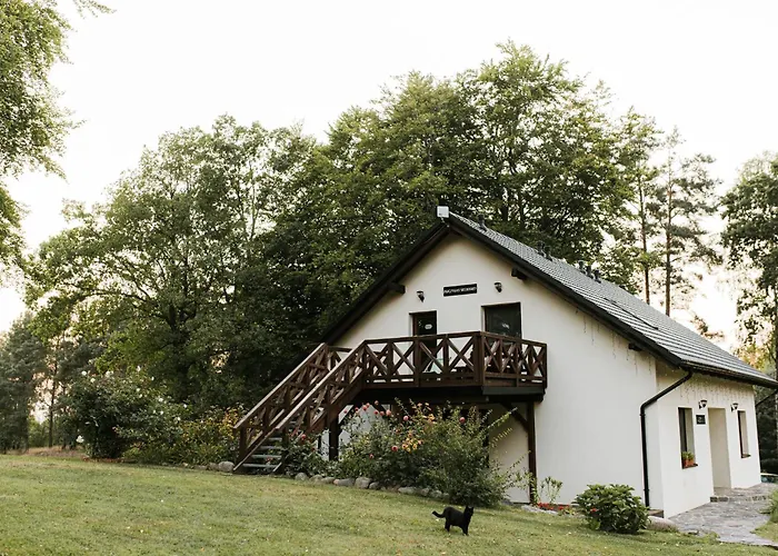 Buczylas Siedlisko *